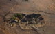 Henbury Meteorites Conservation Reserve - thumb 0