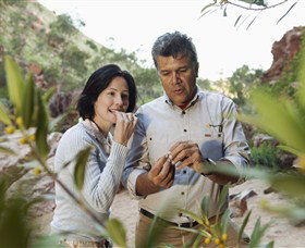 Simpsons Gap - Accommodation ACT 0