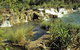 Flora River Nature Park - thumb 0