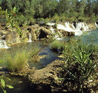 Flora River Nature Park - Accommodation ACT