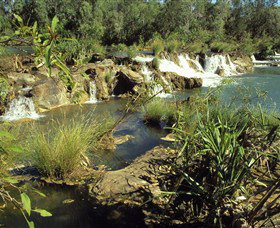 Flora River Nature Park - Accommodation ACT 0