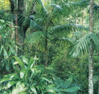 Westside Track Maiala - Accommodation ACT