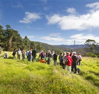 Apple Tree Park - Accommodation ACT