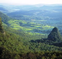 Springbrook Plateau Springbrook National Park - Accommodation ACT
