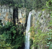 Gondwana Rainforests of Australia - Accommodation ACT