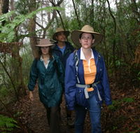Mount Cougal Springbrook National Park - Accommodation ACT