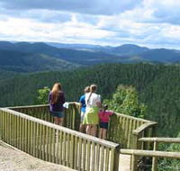 Kenilworth Forest Reserve - Accommodation ACT