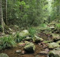 Amamoor State Forest - Accommodation ACT