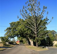 Anzac Avenue Memorial Trees Beerburrum - Accommodation ACT