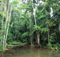 Mount Allan Trail - Accommodation ACT