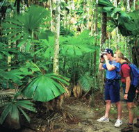 Mount Sorrow Ridge Trail Daintree National Park - Accommodation ACT
