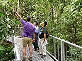 Daintree Discovery Centre - Accommodation ACT 0