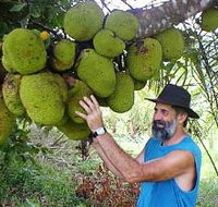 Cape Trib Exotic Fruit Farm - Accommodation ACT