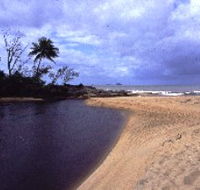 Russell River National Park - Accommodation ACT