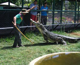 Snakes Downunder Reptile Park And Zoo - Accommodation ACT 0