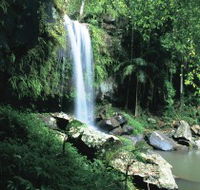 Curtis Falls Joalah Section - Accommodation ACT