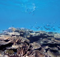 Australian Institute of Marine Science - Accommodation ACT