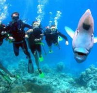 Gotham City Dive Site - Accommodation ACT