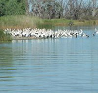 Lake Ross - Accommodation ACT