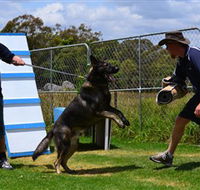 Lawdogs Australia - Accommodation ACT