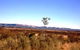 Tambos Wilderness Way - thumb 0
