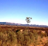 Tambos Wilderness Way - Accommodation ACT