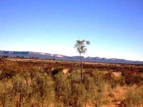 Tambos Wilderness Way - Accommodation ACT 0