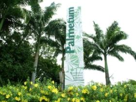 Townsville Palmetum - Accommodation ACT 0