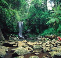 Tamborine National Park - Accommodation ACT