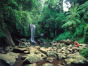 Tamborine National Park - Accommodation ACT 0