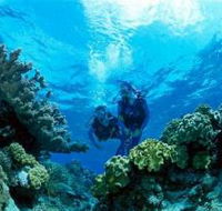 Coral Gardens Dive Site - Accommodation ACT
