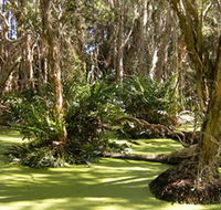 Arkarra Lagoons and Tea Gardens - Accommodation ACT