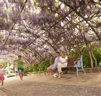 Laurel Bank Park - Accommodation ACT