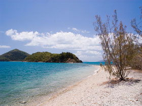 Shute Harbour QLD Accommodation ACT