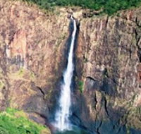 Buujan Quiinbiira Walk Wet Tropics Great Walk - Accommodation ACT