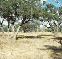 Forest Den National Park - Accommodation ACT
