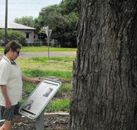 Augathella Kenniff Tree - Accommodation ACT