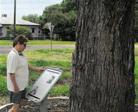 Augathella Kenniff Tree - Accommodation ACT 0