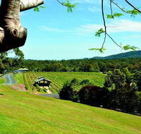 Sirromet Winery - Accommodation ACT