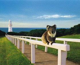 Cape Otway VIC Accommodation ACT