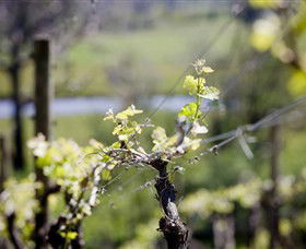 Elan Vineyard And Winery - Accommodation ACT 0