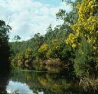 Warrandyte State Park - Accommodation ACT