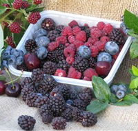 Bright Berry Farms - Accommodation ACT