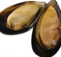 Sea Bounty - Accommodation ACT