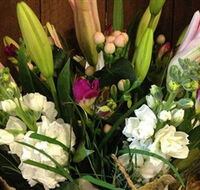 Alpine Blooms Florist Mansfield - Accommodation ACT