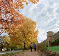 Beechworth Historic Park - Accommodation ACT