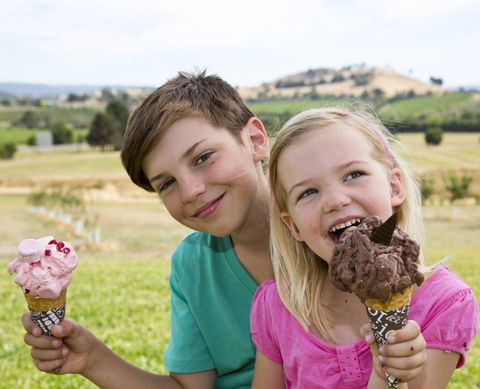Yarra Valley Chocolaterie & Ice Creamery - Accommodation ACT 6