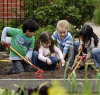 The Ian Potter Foundation Children's Garden - Accommodation ACT