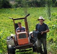 Kellybrook Winery  Kelly Brothers Cider - Accommodation ACT