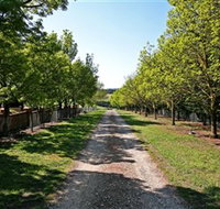 Waybourne Winery - Accommodation ACT
